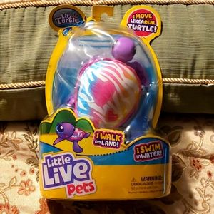 Little Live Pets Lil Turtle 🐢 💕